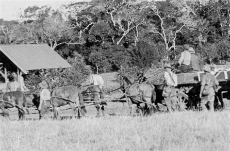 Il Rivoltamento di Bambatha; Un Tumulto Zulu Contro la Tassa sulle Teste e L'Imposizione Europea